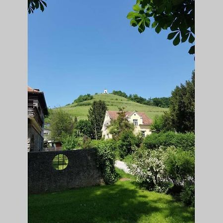 Welcome To Enjoy Maribor ! エクステリア 写真